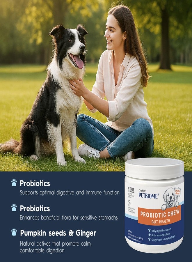 Oraticx PetBiome Probiotic Chew for Dogs - Supports Daily Digestive Health, Gut Balance, and Immune System - with Ginger Root, and Pumpkin Seed - Chicken Flavor, 90 Soft Chews - Image 4